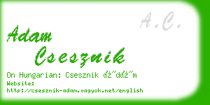 adam csesznik business card